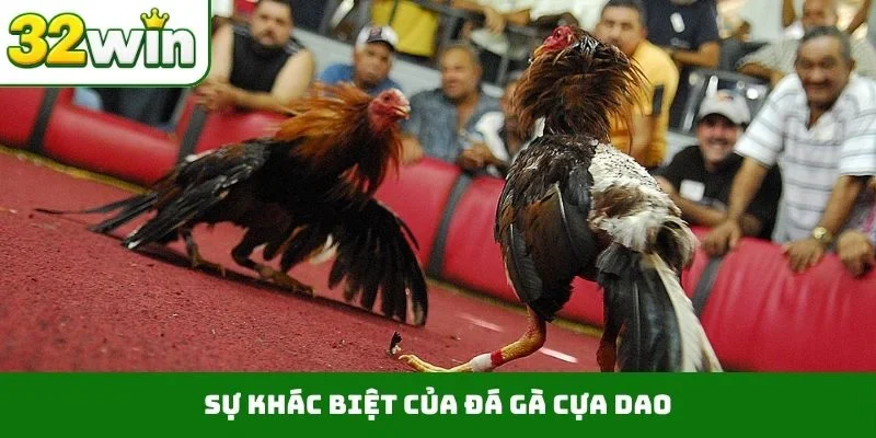 Đá Gà Cựa Dao – Những Trận Chiến Nảy Lửa Ngay Trên 32WIN Sự khác biệt của đá gà cựa dao