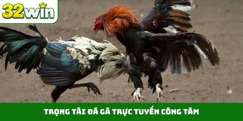 Trọng tài đá gà trực tuyến công tâm